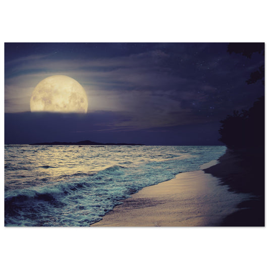 Strand im Mondschein - Digitales Foto-Kunst Poster